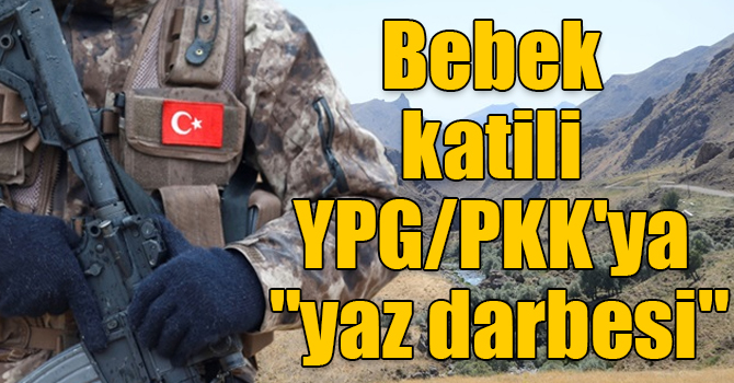 Bebek katili YPG/PKK'ya "yaz darbesi"