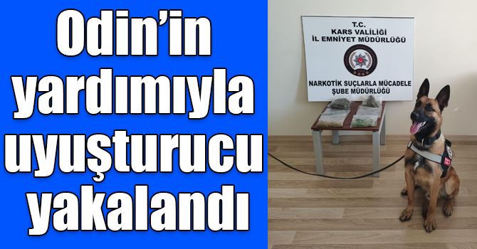 Odin’in yardımıyla uyuşturucu yakalandı