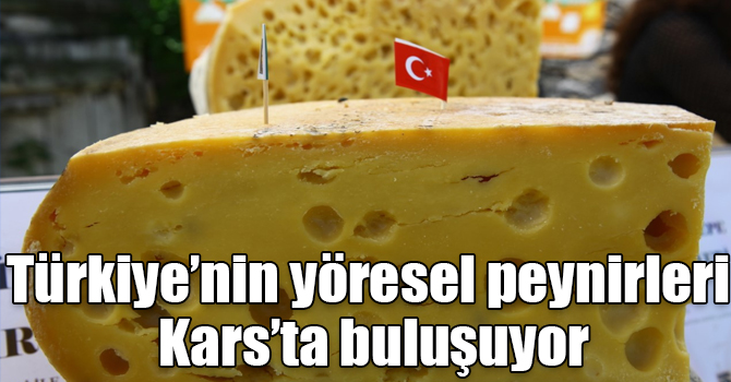 Türkiye’nin yöresel peynirleri Kars’ta buluşuyor