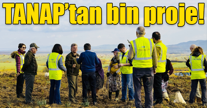 TANAP, 20 ilde yaklaşık bin proje ile çevreyi ve kalkınmayı destekledi