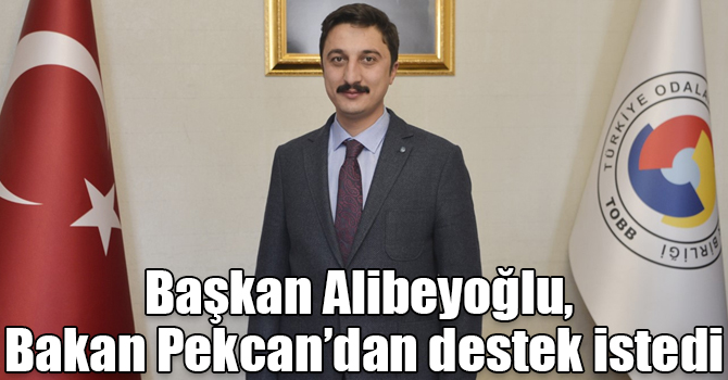 Başkan Alibeyoğlu, Bakan Pekcan’dan destek istedi