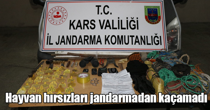 Kars’ta hayvan hırsızları jandarmadan kaçamadı