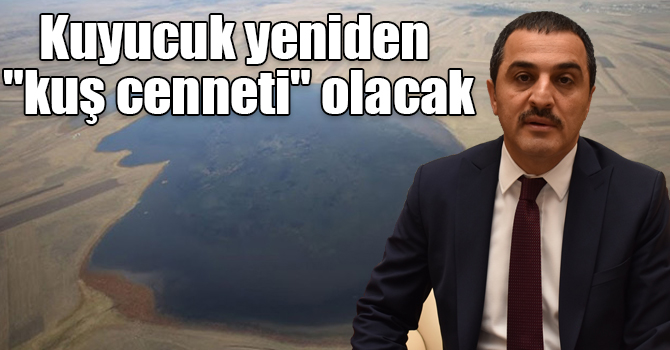 Kuyucuk yeniden "kuş cenneti" olacak
