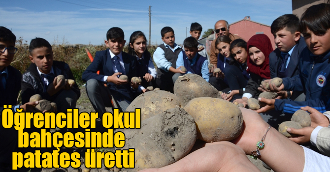 Öğrenciler okul bahçesinde patates üretti