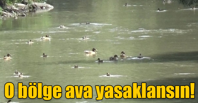 Karslılar Dereiçi bölgesinin ava yasaklanmasını istiyor