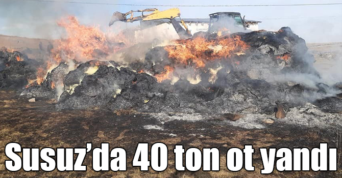 Susuz’da 40 ton ot yandı