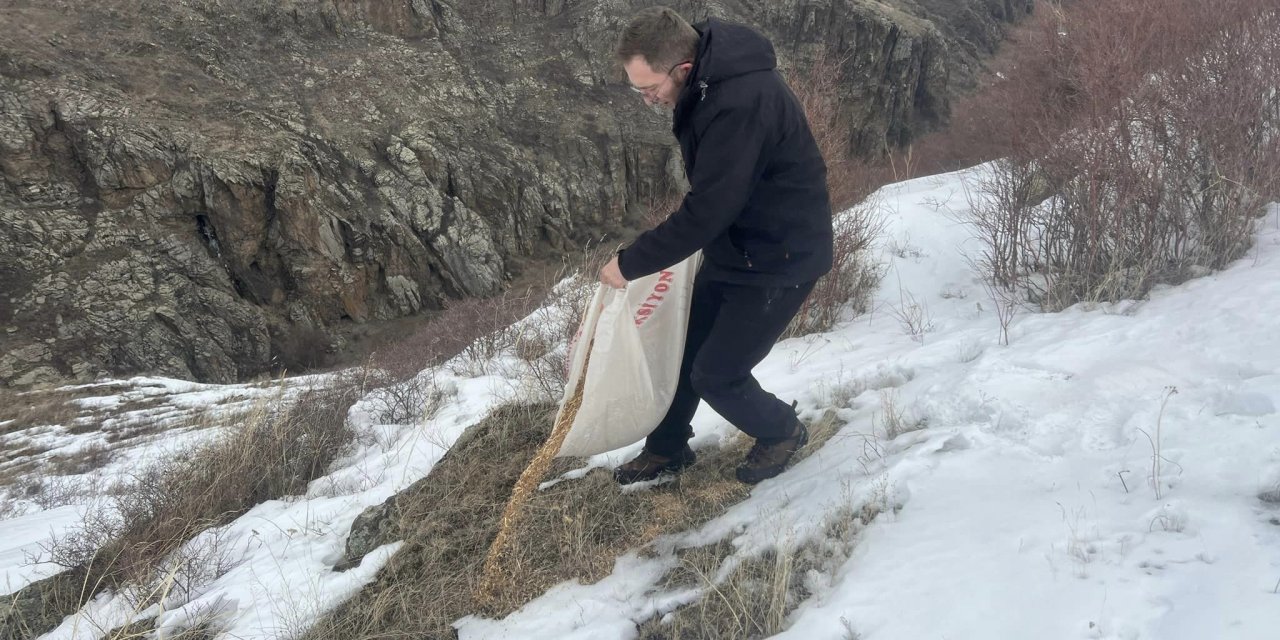 Kars’ta yaban hayvanları için doğaya yem bırakıldı