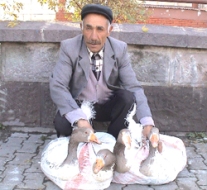 Kars’ta kaz eti hırsızlığı