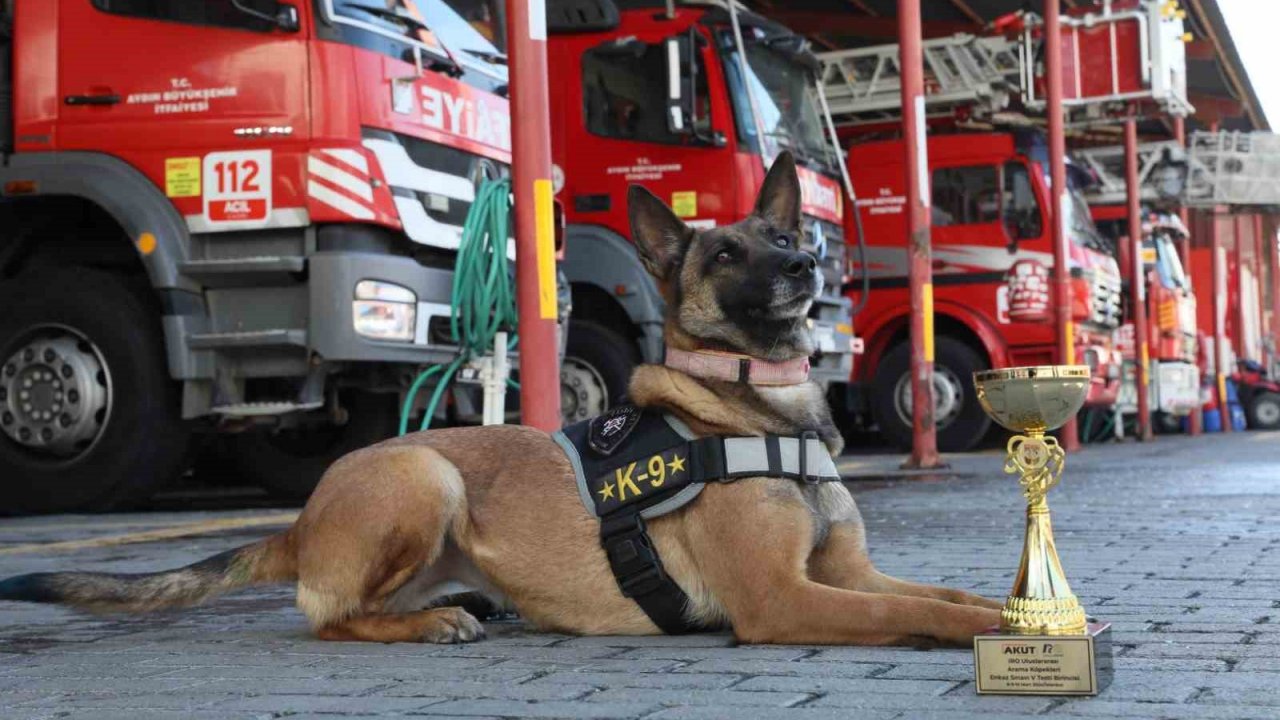 Büyükşehir’in arama kurtarma köpeği ödül aldı