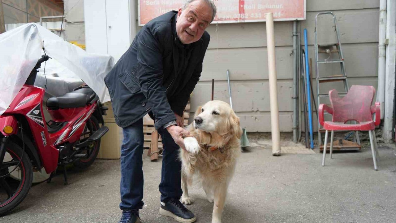 Köpeğin doktora havlaması sahibine 700 bin TL’ye patladı