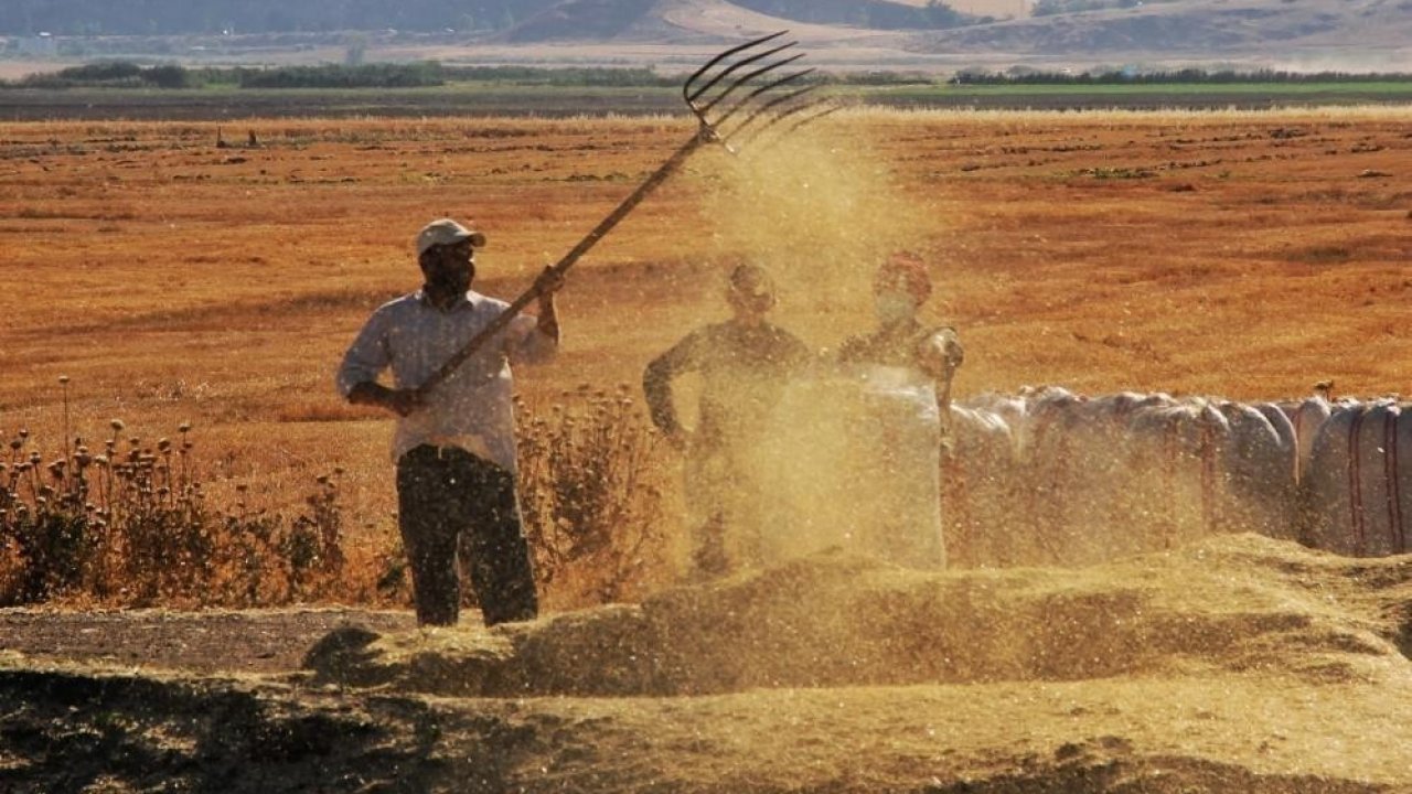 Tarımda üretici enflasyonu şubatta yüzde 58,29 oldu