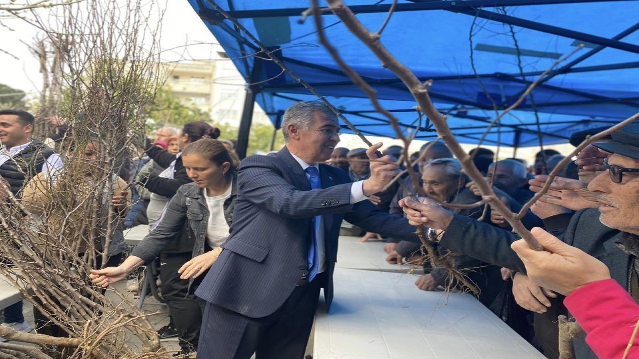 Başkan Erol’dan badem fidanı dağıtımı