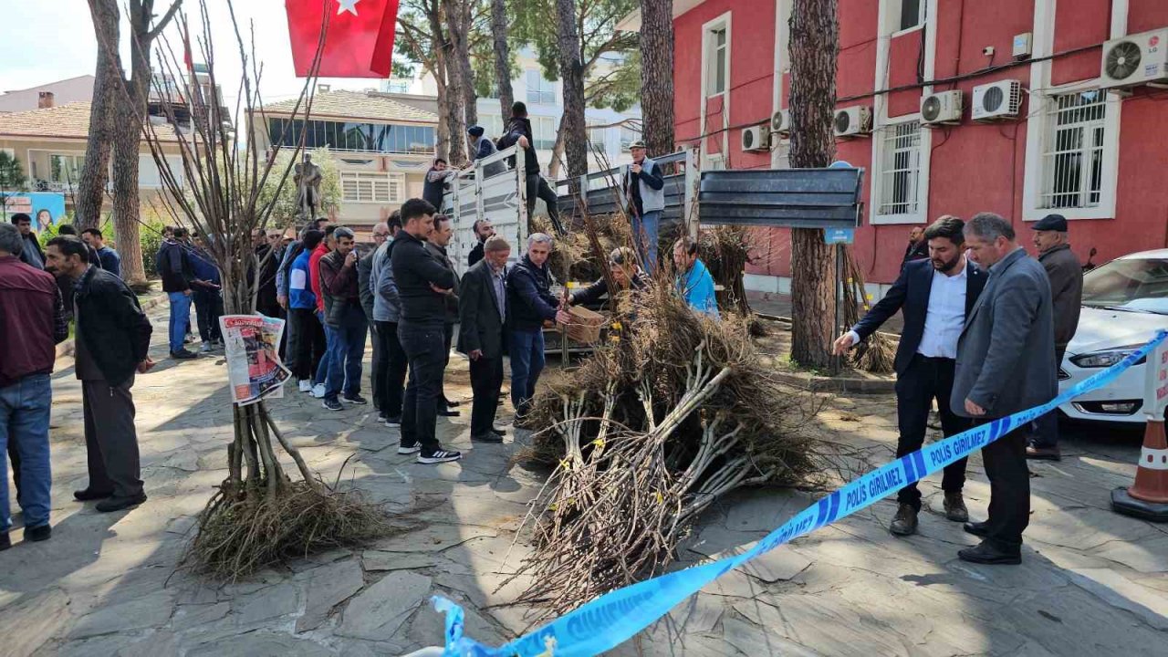 Gal arısı zararlısına karşı geliştirilen kestane fidanları üreticiye dağıtıldı