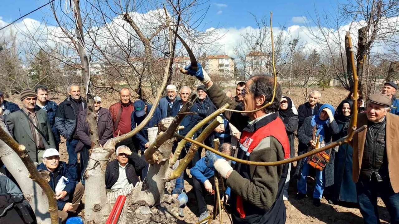 Eskişehir çiftçisine meyve ağaçlarında budama ve aşılama eğitimi verildi