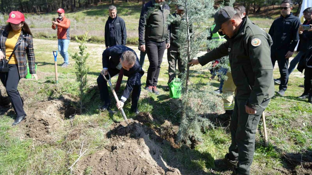 Kazdağları’nda fidanlar toprak ile buluştu