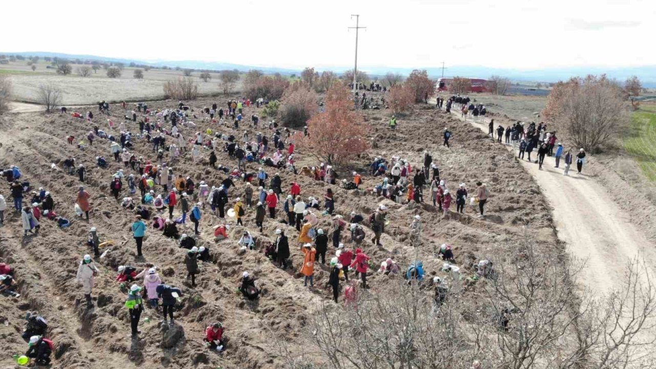 Eskişehir’de 8 bin fidan toprakla buluştu