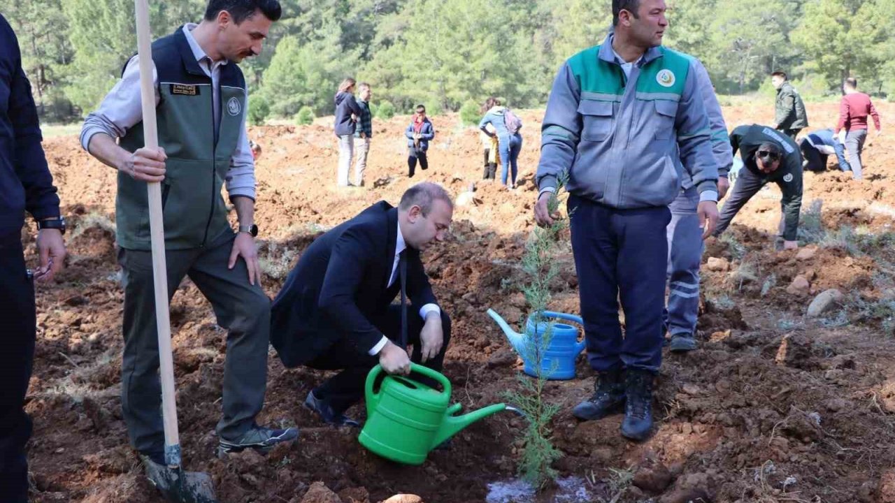 Orman Haftası’nda Köyceğiz’de fidan dağıtımı ve dikimi yapıldı