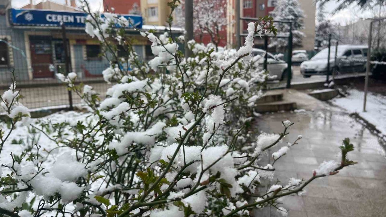 Eskişehir kent merkezinde kar yağışı etkili oldu