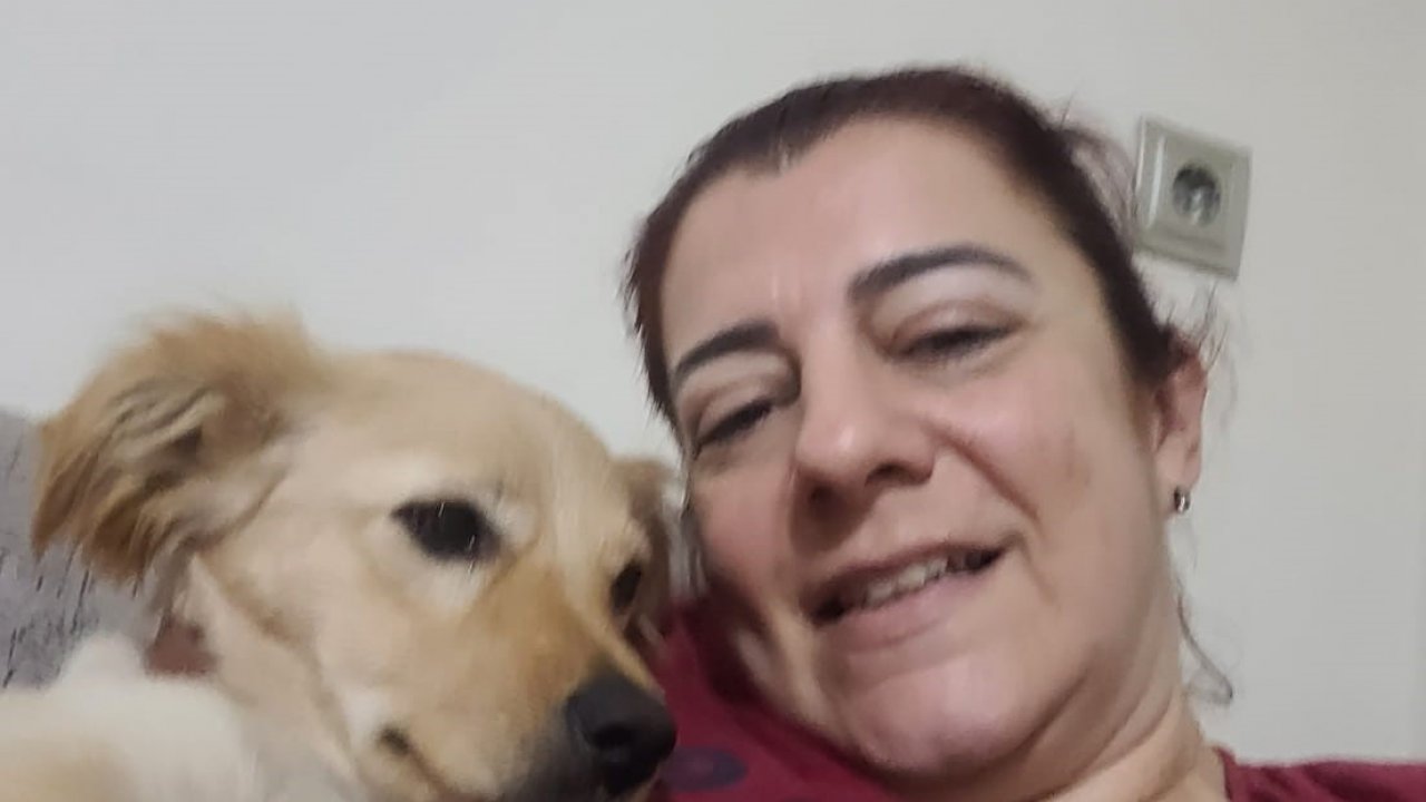 Aydın’daki köpek eğitmeni mağdurlarının sayısı artmaya başladı