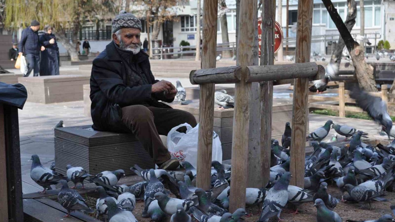 Sokaktaki kuşları yıllardır büyük bir özenle besliyor