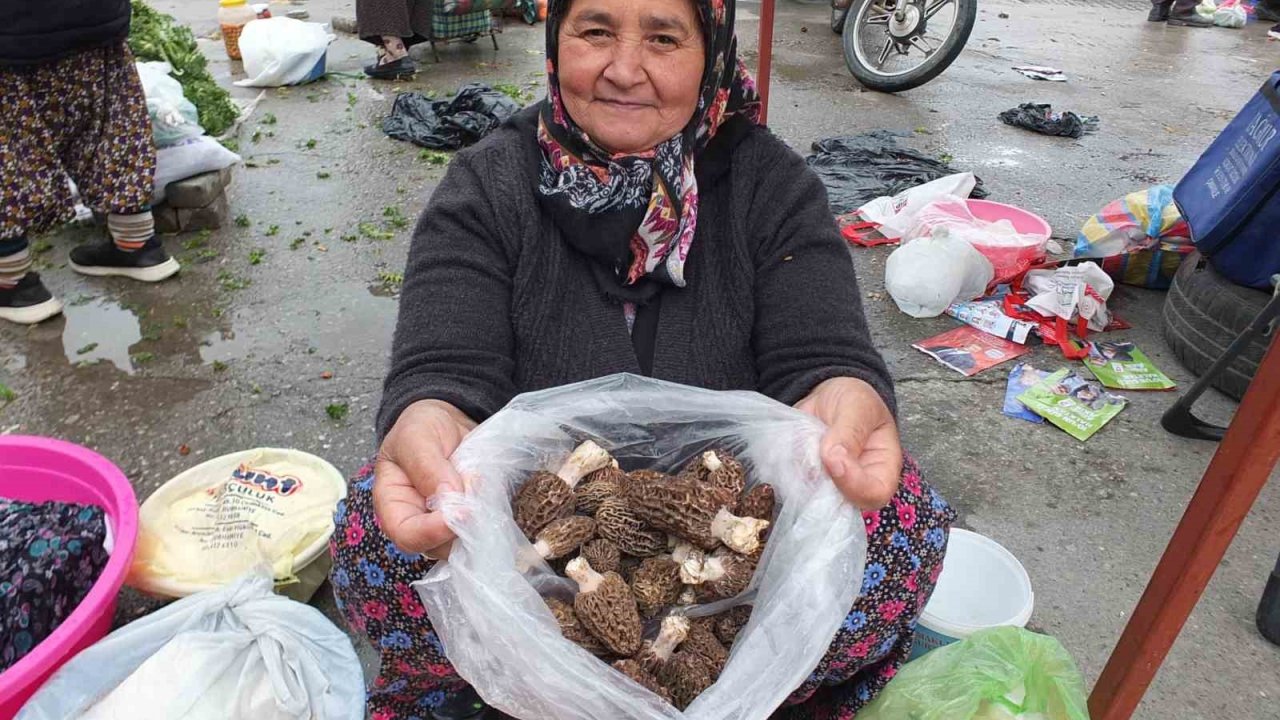 Kuzu göbeği mantarı altın ile yarışıyor