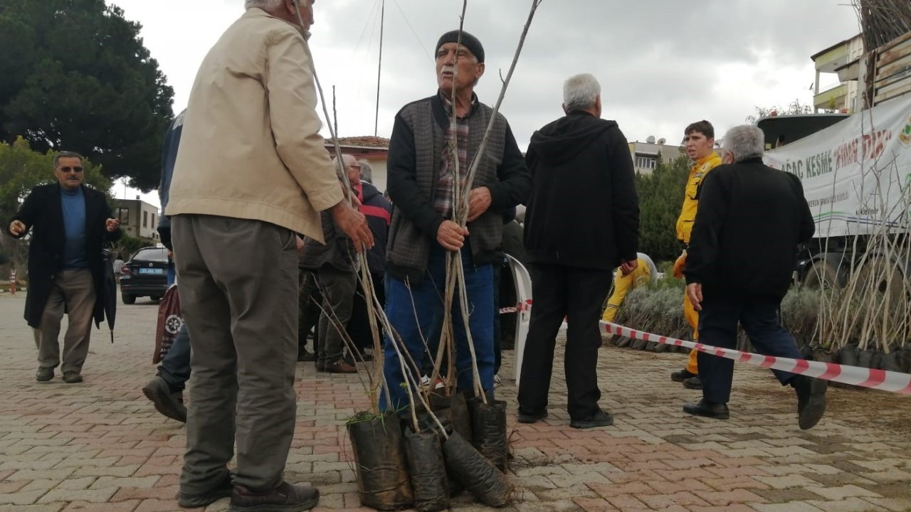 Mersin’de 6 bin fidan ücretsiz dağıtıldı