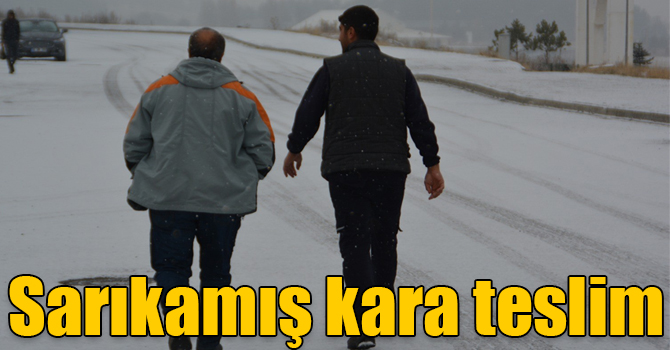 Sarıkamış kara teslim