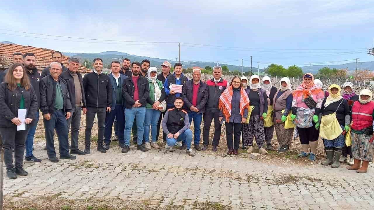 Sağlık ve kazançlı ürün için salkım güvesine karşı mücadele başlatıldı