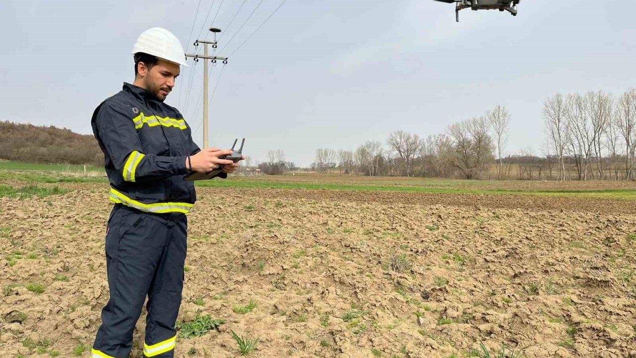 Leylek yuvalarına dronlu takip