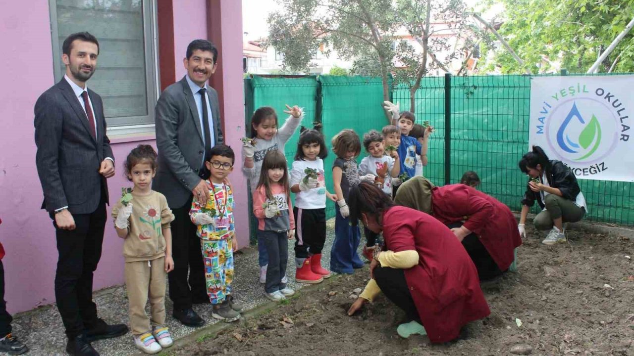 Köyceğiz’de minikler çilek fidelerini toprakla buluşturdu