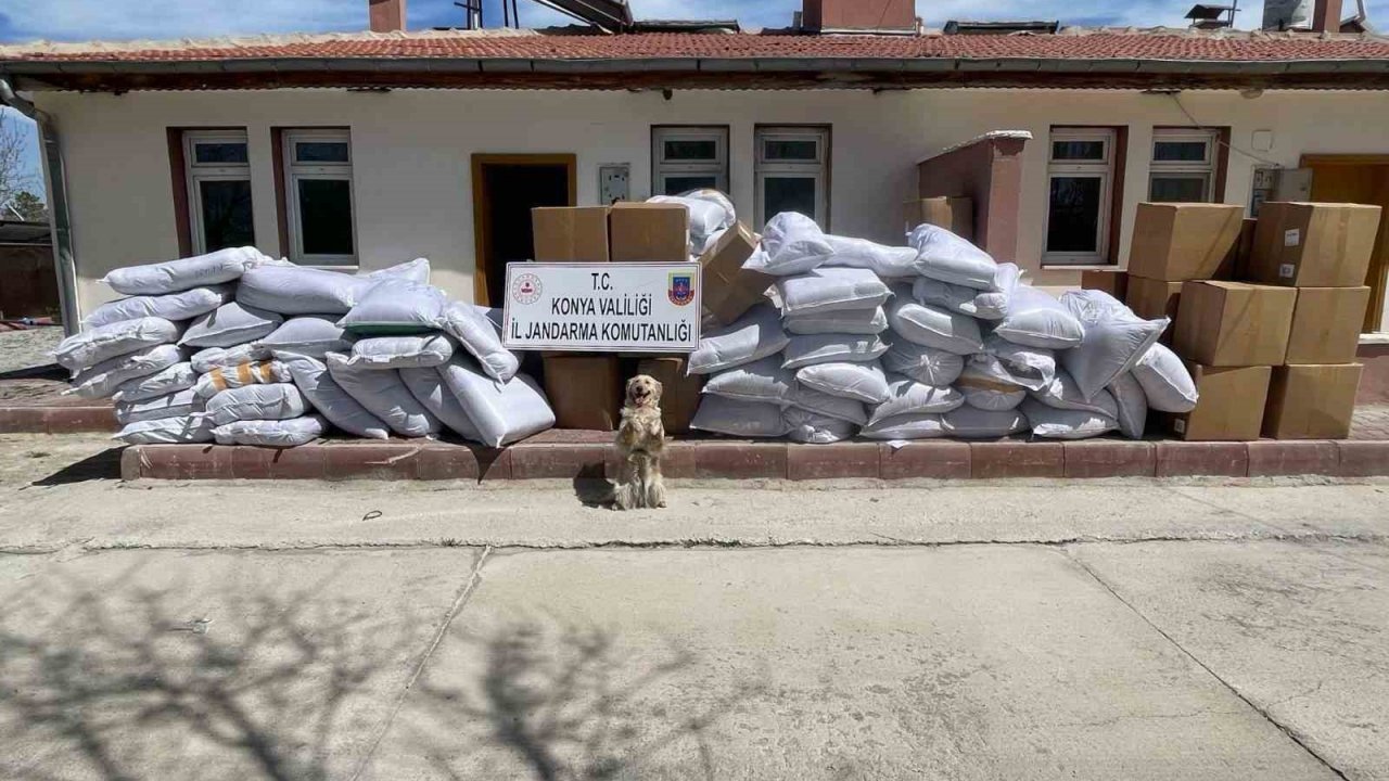 Durdurulan tırlarda 14 ton kaçak tütün ele geçirildi