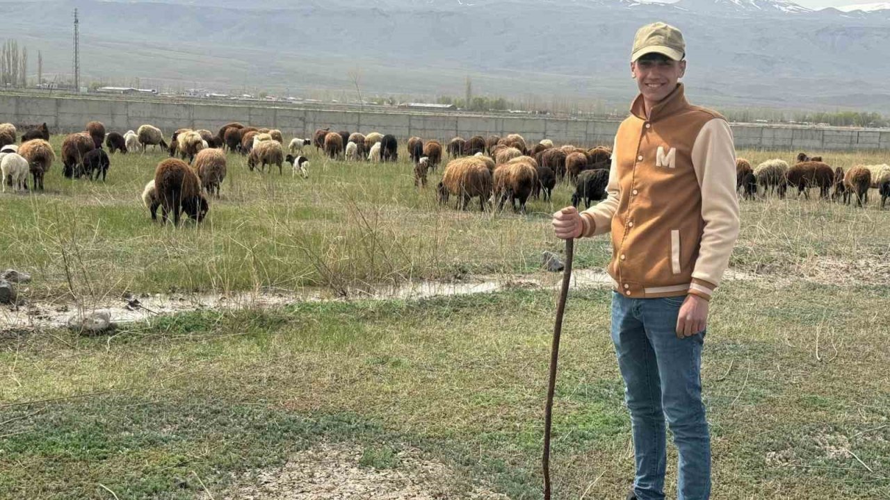 Iğdır’da hayvanlar meraya çıktı