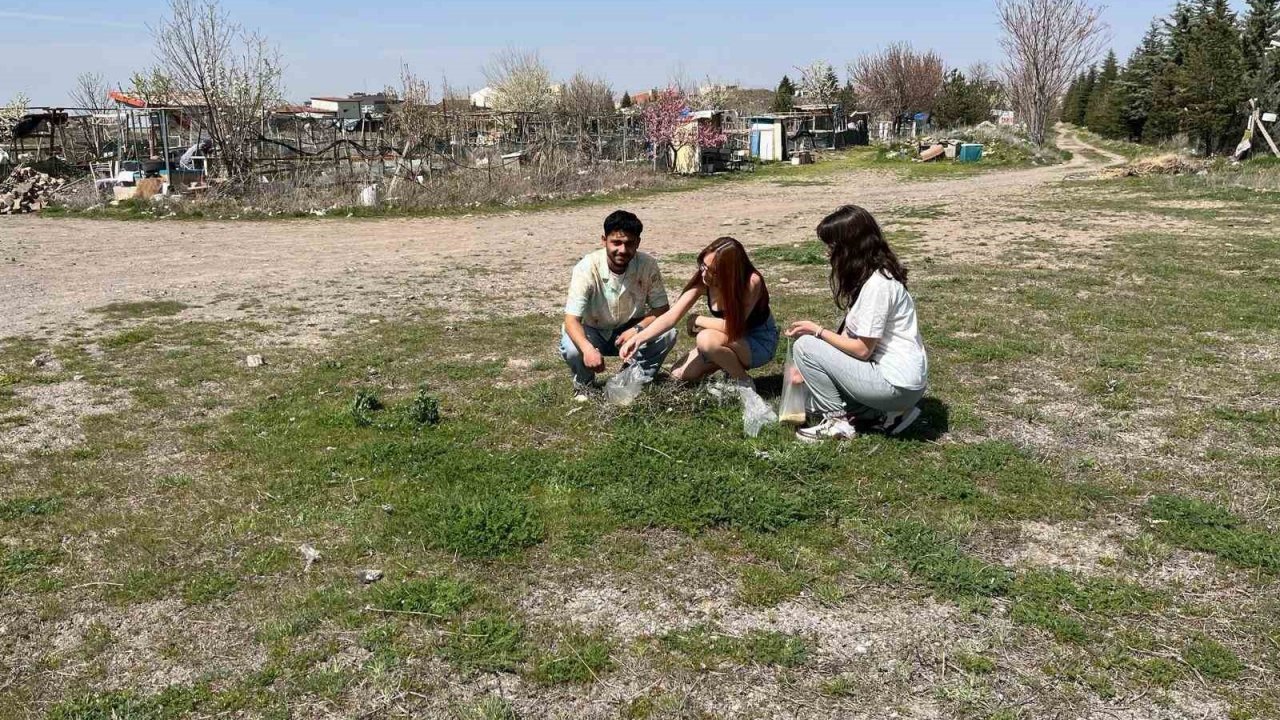 ERÜ’de kampüsün simgesi ‘Gelengiler’ uyandı