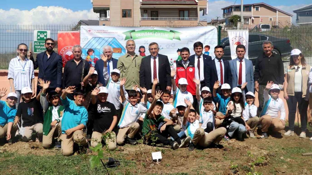 Yalova’da öğrenciler okul bahçesine meyve ağacı fidanı dikti