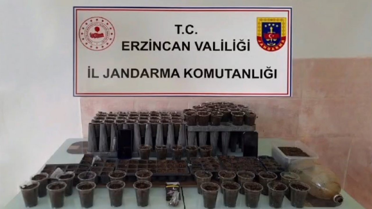 Erzincan’da uyuşturucu operasyonu: 1 kişi tutuklandı