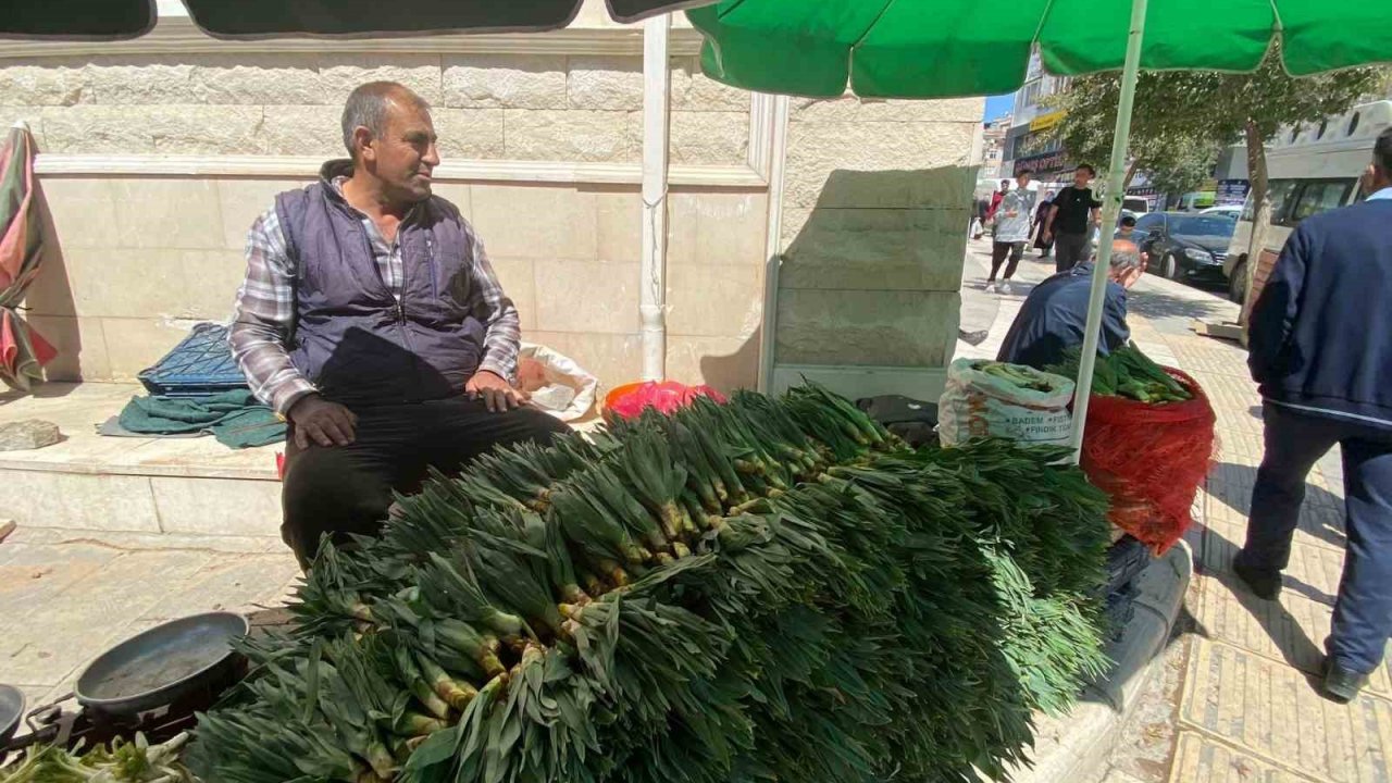 Elazığ’da çiriş otu tezgahlarda yerini aldı