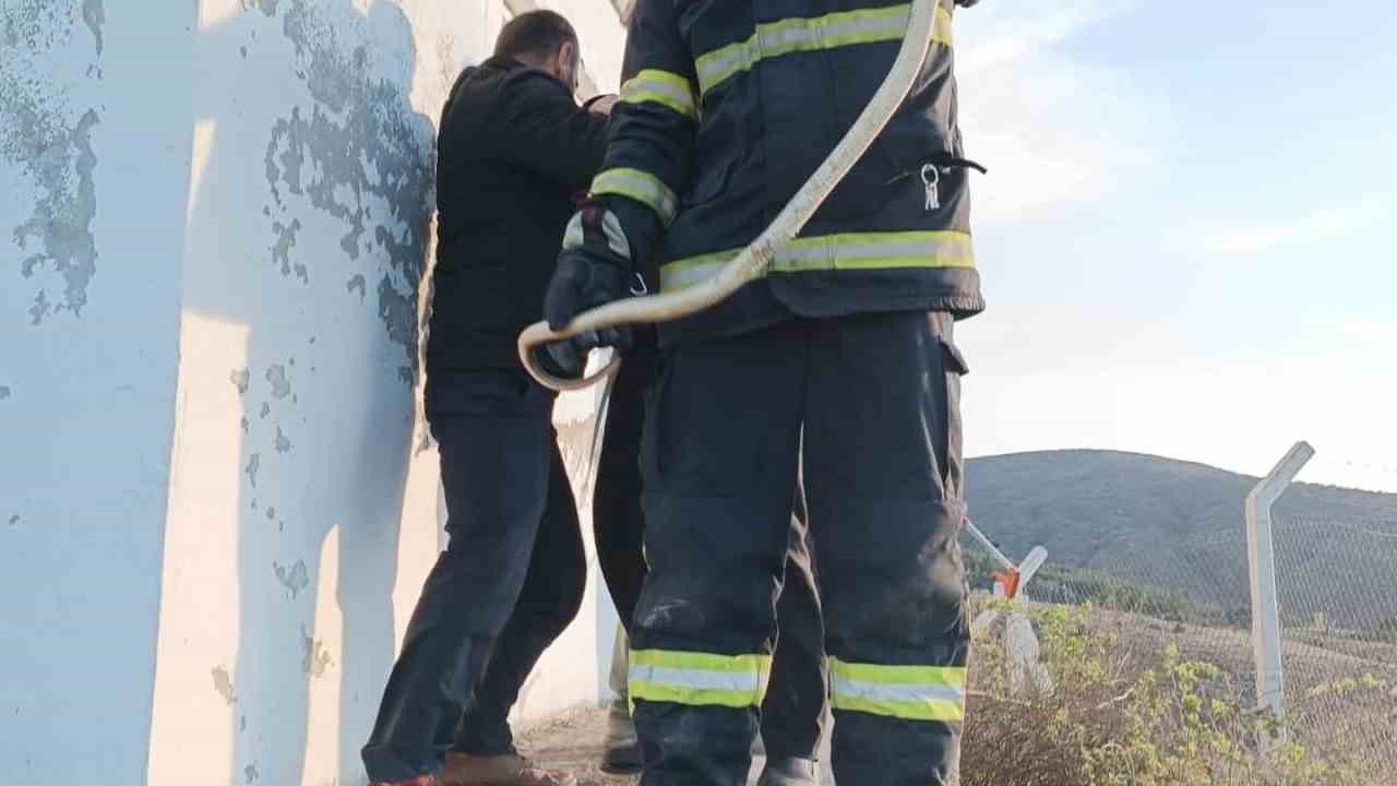 Depoya giren yılanı itfaiye ekipleri yakaladı