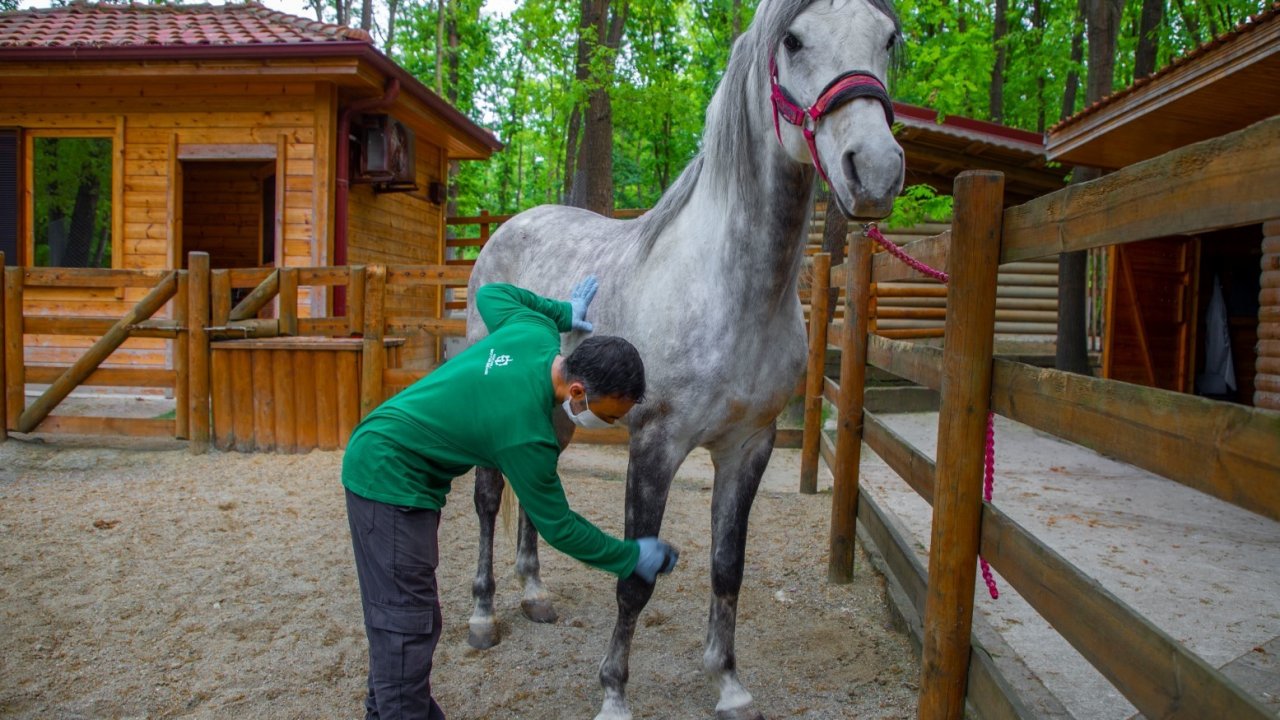 Avrupa’nın en büyük doğal yaşam parkı bayramda doğaseverler için hazırlandı