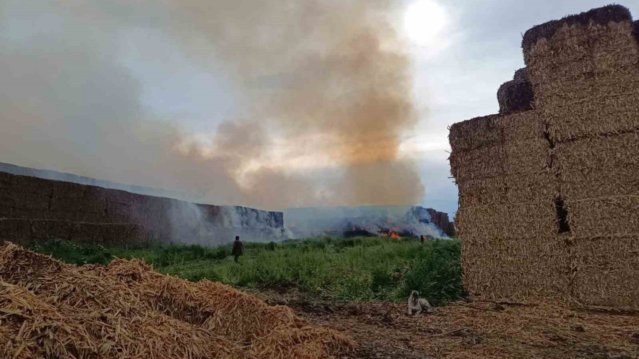 Adana’da saman balyalarının bulunduğu alanda yangın çıktı