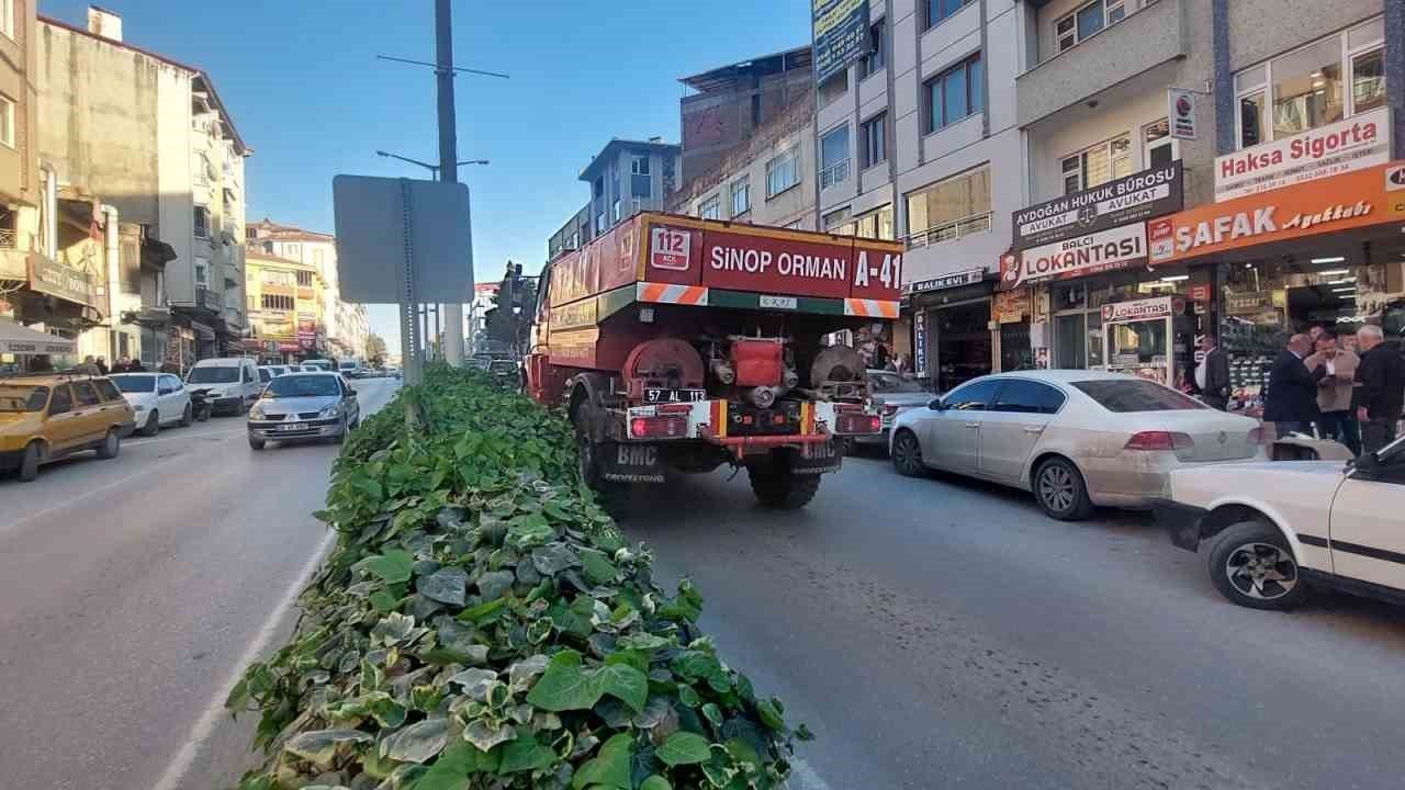 Sinop’ta orman yangını