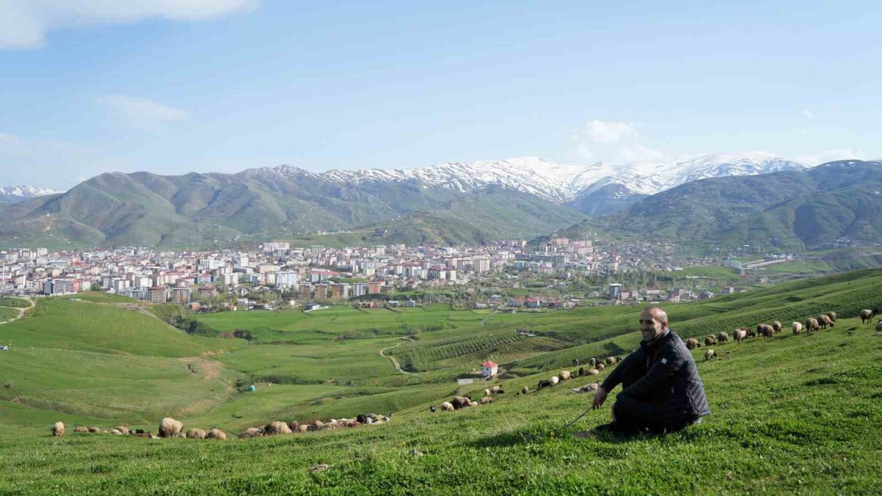 Kavalsız kaval sesi çıkarıyor