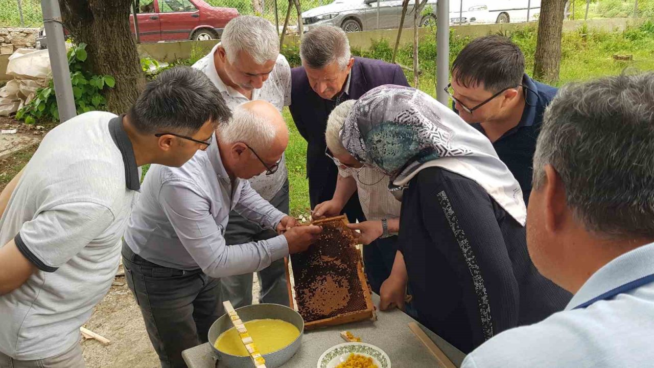 Karabük’te üreticiler ana arı yetiştirmenin püf noktalarını öğrendi