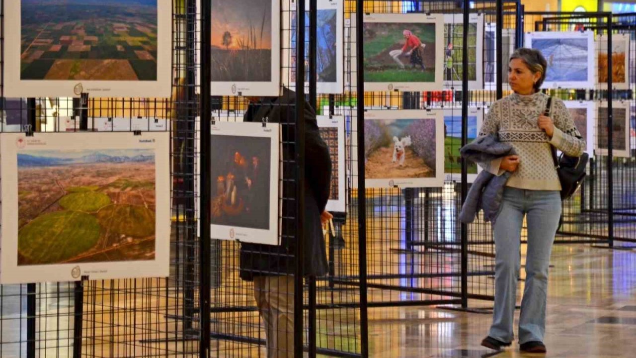 "14. Uluslararası Tarım, Orman ve İnsan Fotoğraf Yarışması"na başvurular başladı