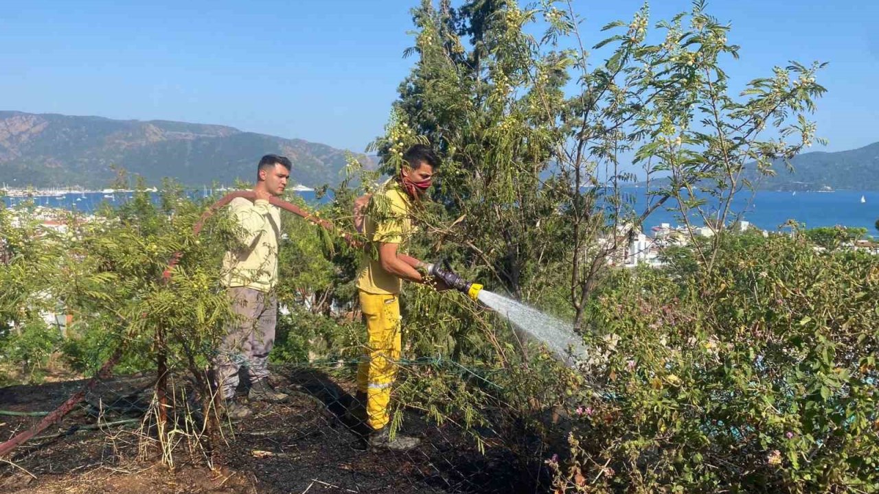 Otluk alandaki yangın ormana sıçramadan söndürüldü