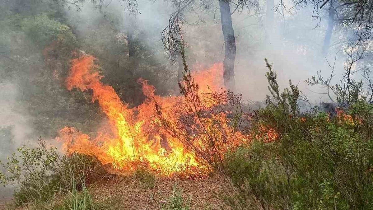 Yayladağı’nda ormanlık alanda çıkan yangın söndürüldü