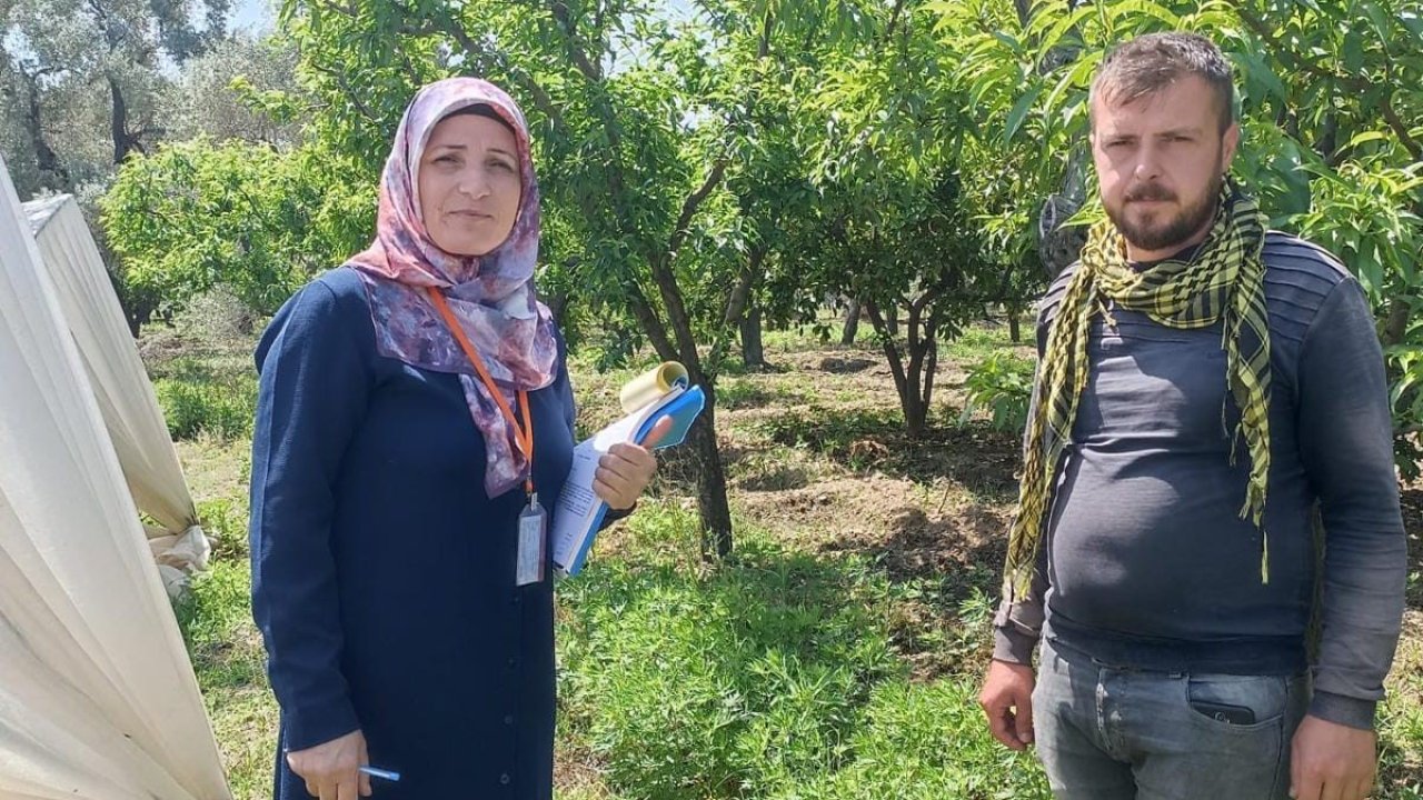 Efeler İlçe ve Tarım Orman Müdürlüğü anket çalışmalarını tamamladı