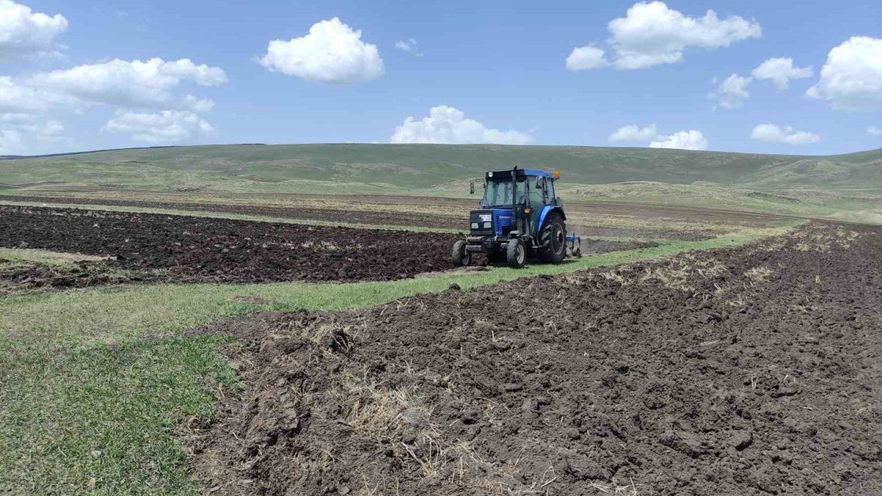 Ardahan’da ata tohumu buğday ve arpa tohumları toprakla buluşturuluyor