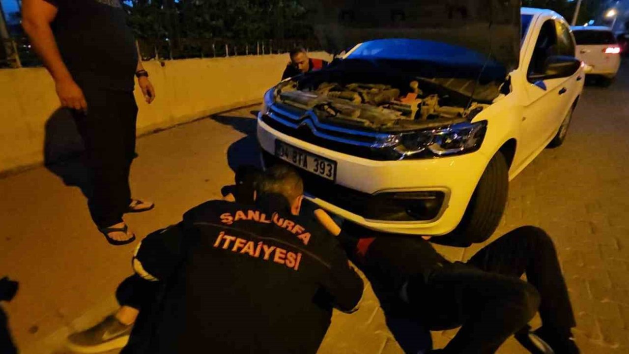 Şanlıurfa’da otomobilin motor kısmına sıkışan kedi operasyonla kurtarıldı