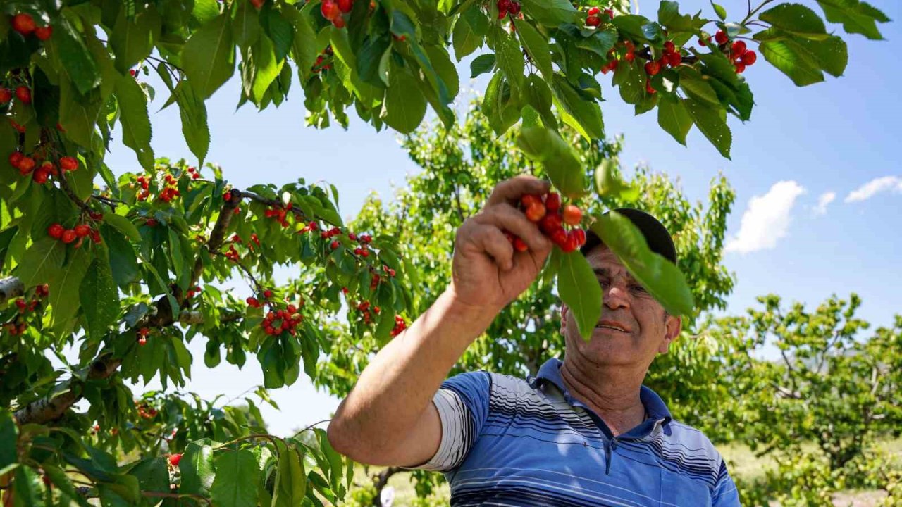 Depremden etkilendi, köyüne geri döndü