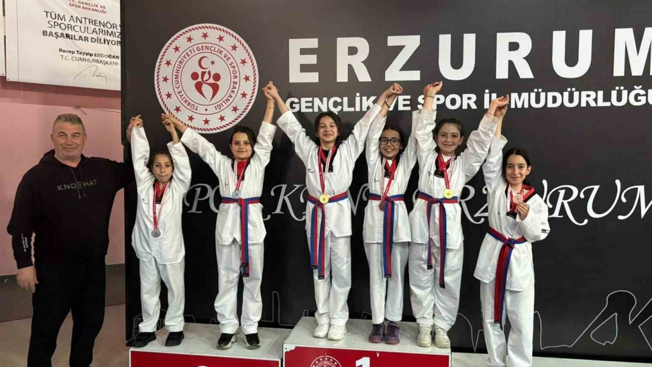 İspirli sporcular bölge Taekwondo müsabakalarına damga vurdu